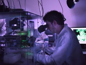 Nanotecnología