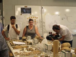 ArqueUB divulgación arqueología